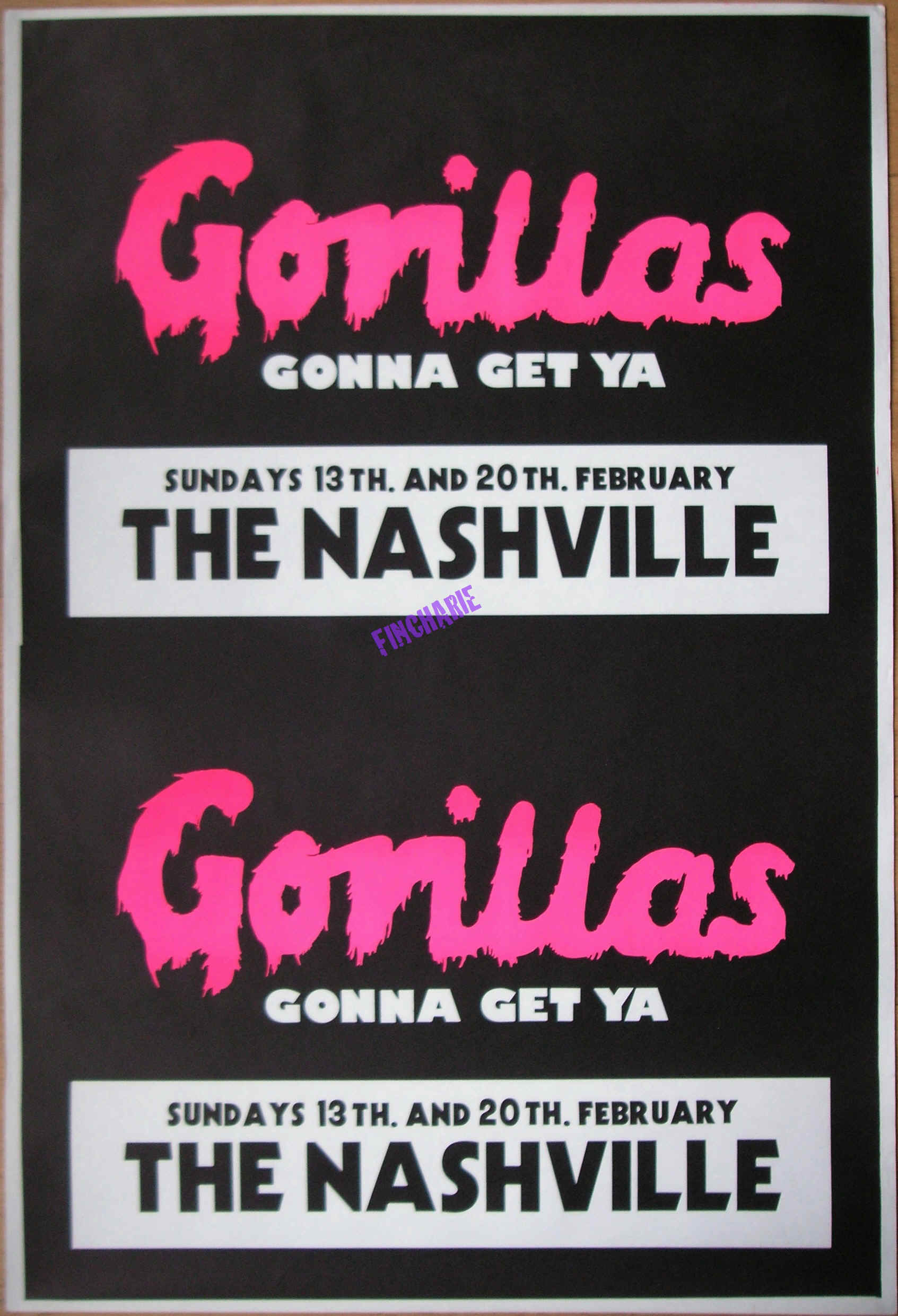 VGORILLASP130277.jpeg (1074385 bytes)