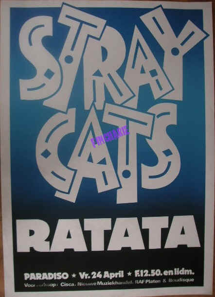 VPPARSTRAYCATS240481.jpeg (94953 bytes)
